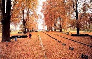 Kashmir Tour Package