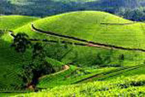 Delightful  Kerala Tour Package