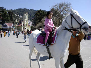 Charming Shimla - manali - kullu - Tour  Package