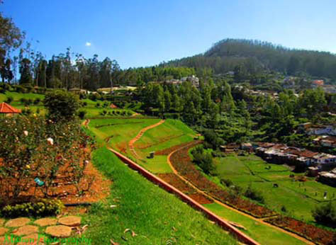 Mysore - Ooty - Coorg Tour - 05 Nts./ 06 Days