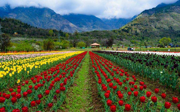 Heavenly Kashmir - Economical Package