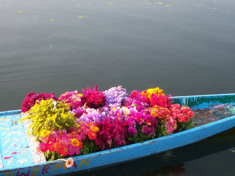 Super Saver 12 Adults- Vaishno devi Helicopter Package with Kashmir