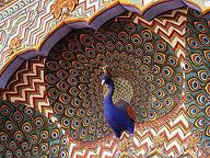 Royal Rajasthan Tour