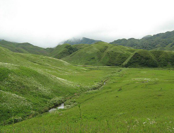 Wander of Nagaland Tour