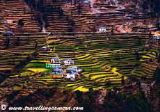 Himachal Village Culture Tour