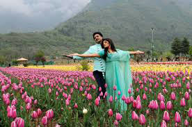 Kashmir Holidays