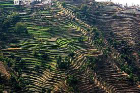 Himachal Darshan Tour