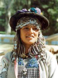 Himachal Darshan Tour