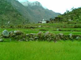 Tirthan Valley Adventure Tour