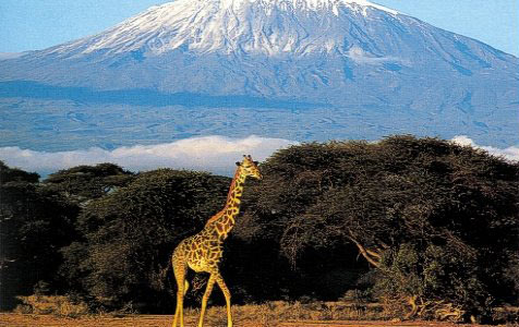 Kenya - Tanzania Combined Safari Tour