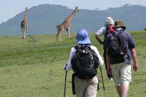 Tanzania Walking Safari Tour