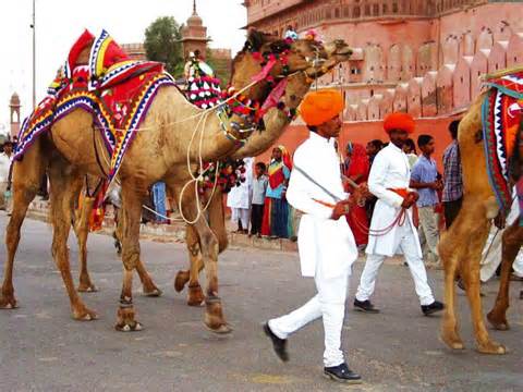 Golden Tour Of Rajasthan
