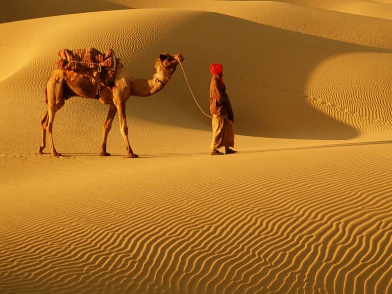 Classic Desert Rajasthan Tour Package 09 Nights/10 Days