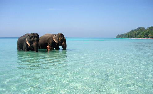 Andaman Tour 5 Night 6 Days