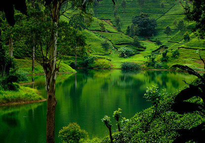 Sri Lanka - Maldives Tour