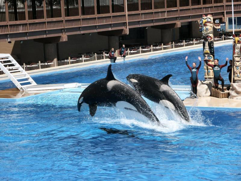 Australia Tour - 8Night/ 9 Days