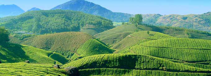 Exotic Kerala Tour
