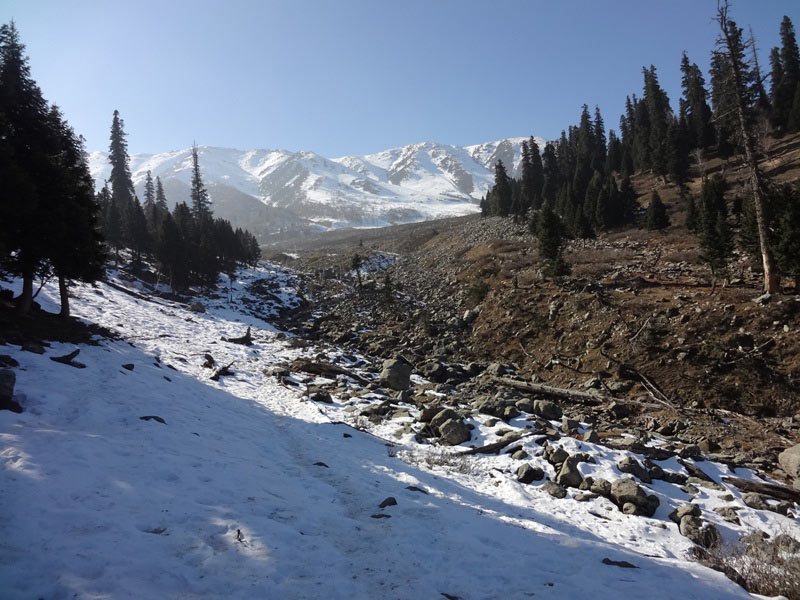 Kashmir Tour - 6 night 7 days