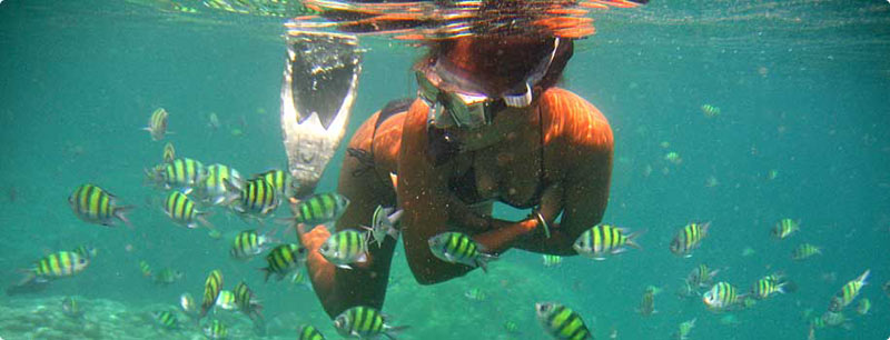 Pattaya - Bangkok 4 night 5 days Luxury Tour with 4 star hotels