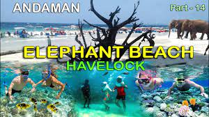 Andaman Delight Standard Package # 1445