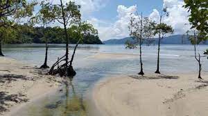 Andaman Delight Standard Package # 1445