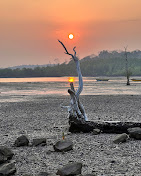 Family Standard Package 7N 8D