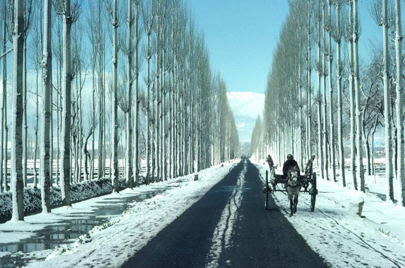 Kashmir - Shivalik Shepherd Valley Tour