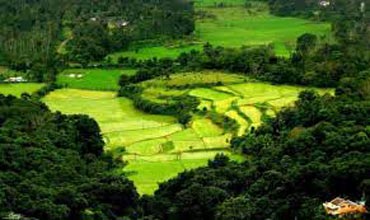 Bangalore - Mysore - Coorg Tour 4n 5d