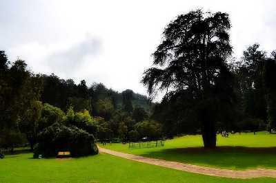 Banglore Mysore Coorg Ooty Kodaikanal Tour Package