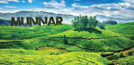 Munnar Honeymoon Tour Package