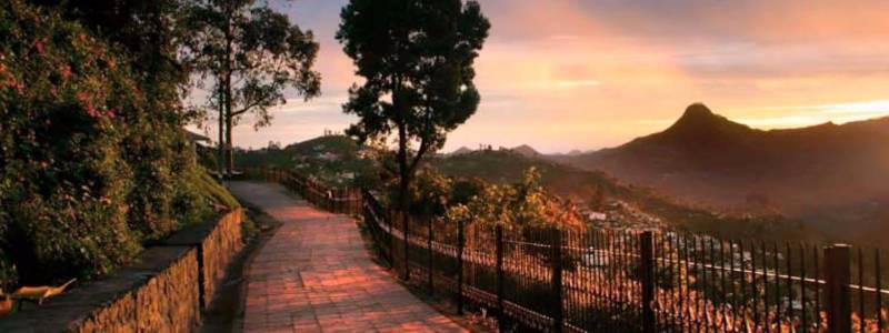 Coimbatore Ooty and Kodaikanal Tour 5n - 6d