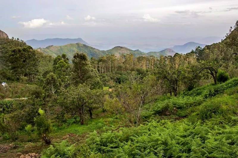 Madurai Kodaikanal Ooty Coimbatore Tour 5n /6d