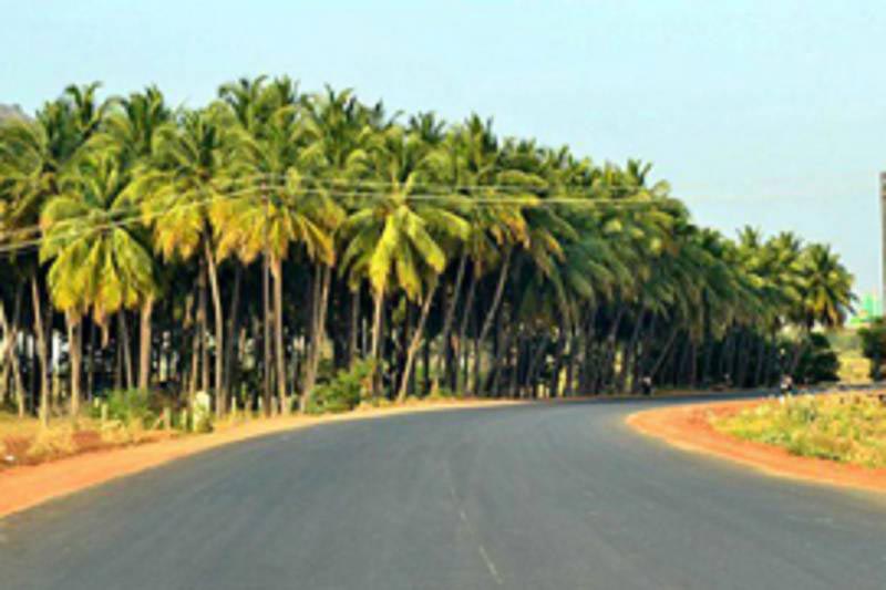 Temples with Beach Tour of Tamilnadu - Kerala Package