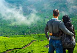 Cochin - Munnar - Thekkady -  Alleppey - Cochin Tour Package