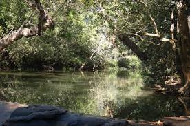 South India Hill Station Package