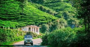 South India Hill Station Package