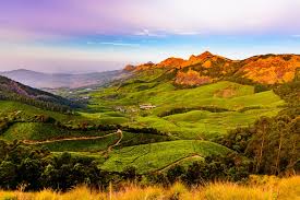 South India Hill Station Package