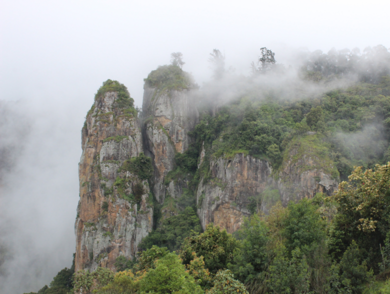 Kodaikanal Honeymoon From Bangalore