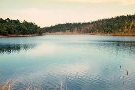 Kodaikanal Honeymoon Packages from Coimbatore