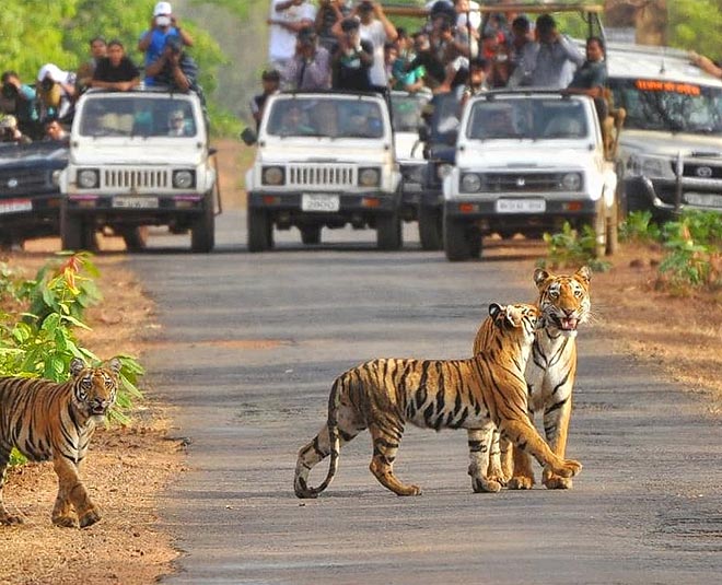 Delhi - Corbett National Park Weekend Tour Package