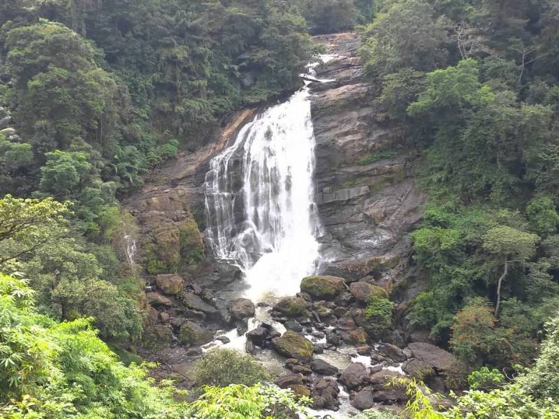 Kerala Tour Packages For Family