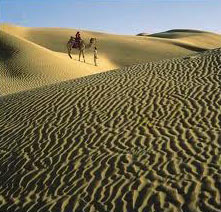 Royal Rendezvous in Rajasthan