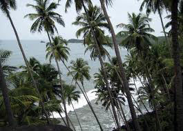 Delightful Goa Vacation Air Package