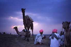Delightful Rajasthan Tour
