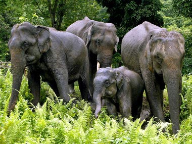 North East Triangle Tour