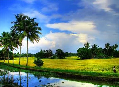 Southern Splendour Tour