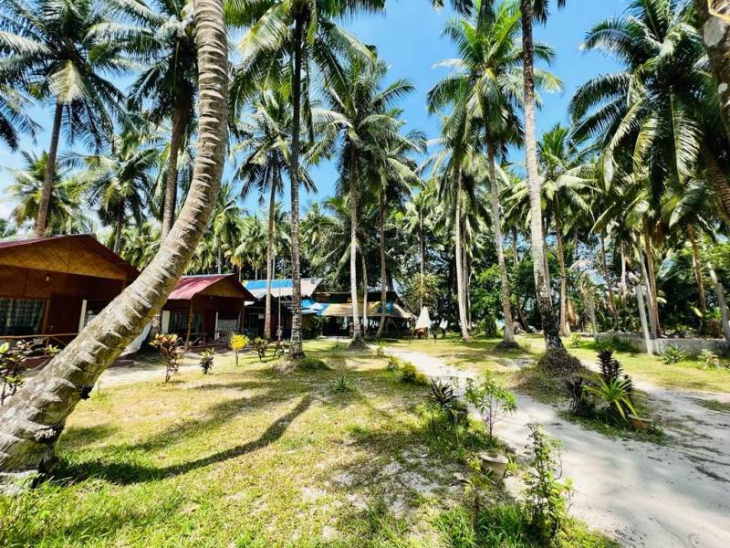 Blue Waves Andaman - 6N 7D Tour Image