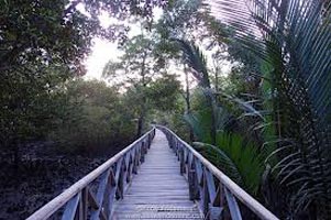 Andaman Exotic Tour Package