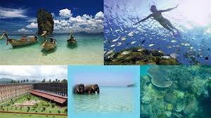 Andaman View Tour Package