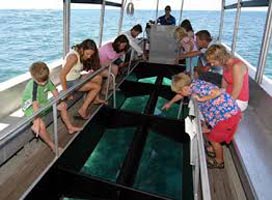 Andaman View Tour Package